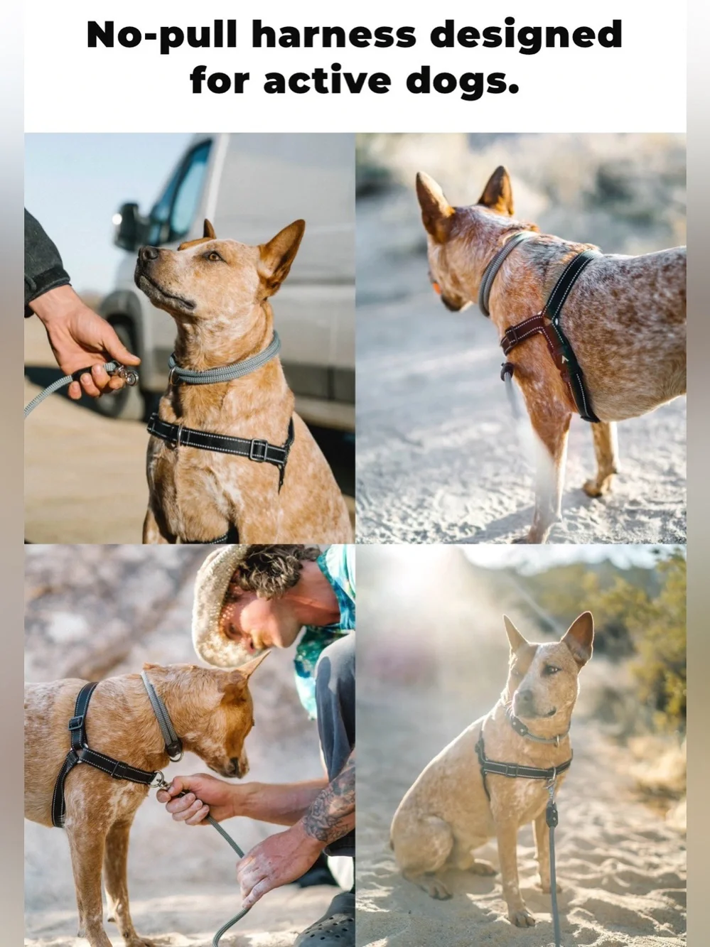 Atlas Pet Company Lifetime Dog Harness (M)